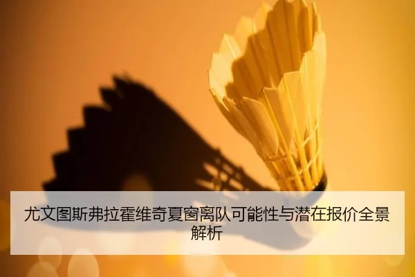 尤文图斯弗拉霍维奇夏窗离队可能性与潜在报价全景解析 | kaiyun